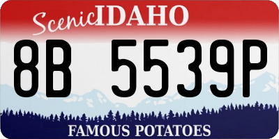 ID license plate 8B5539P
