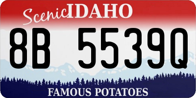 ID license plate 8B5539Q