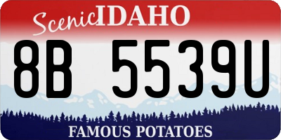 ID license plate 8B5539U