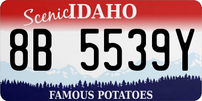 ID license plate 8B5539Y