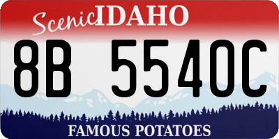 ID license plate 8B5540C