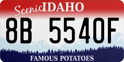 ID license plate 8B5540F