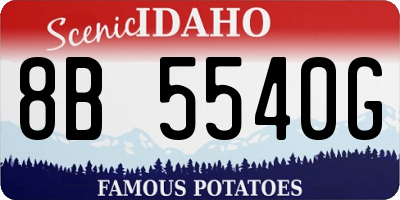 ID license plate 8B5540G