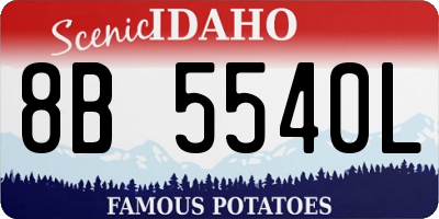 ID license plate 8B5540L