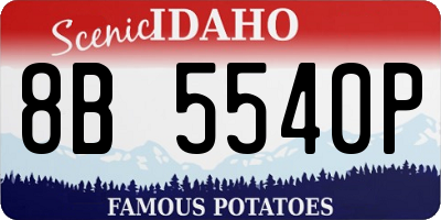 ID license plate 8B5540P