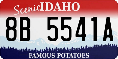 ID license plate 8B5541A