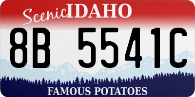 ID license plate 8B5541C