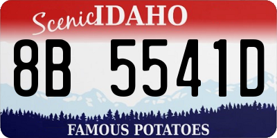 ID license plate 8B5541D