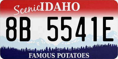 ID license plate 8B5541E