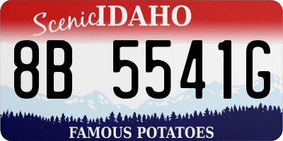 ID license plate 8B5541G