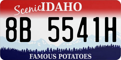 ID license plate 8B5541H