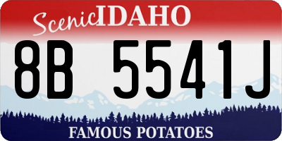 ID license plate 8B5541J
