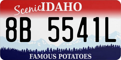 ID license plate 8B5541L