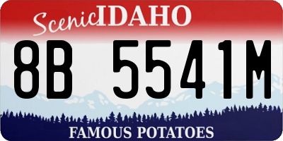 ID license plate 8B5541M