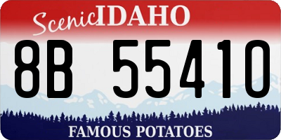 ID license plate 8B5541O