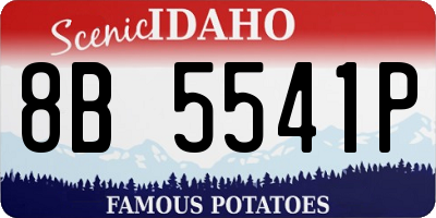 ID license plate 8B5541P