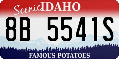 ID license plate 8B5541S