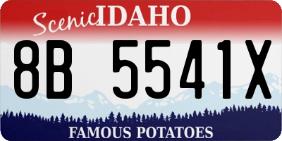 ID license plate 8B5541X