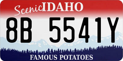 ID license plate 8B5541Y