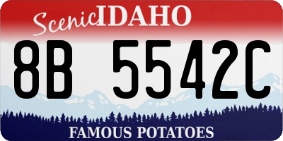 ID license plate 8B5542C