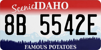 ID license plate 8B5542E