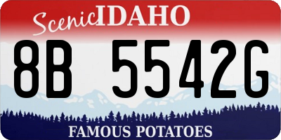 ID license plate 8B5542G