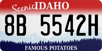 ID license plate 8B5542H