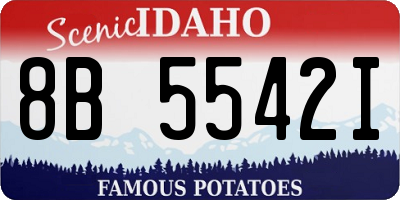 ID license plate 8B5542I