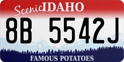ID license plate 8B5542J