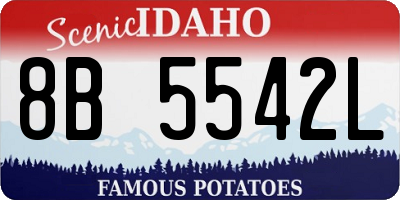 ID license plate 8B5542L