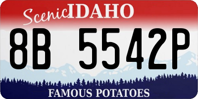 ID license plate 8B5542P
