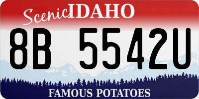 ID license plate 8B5542U