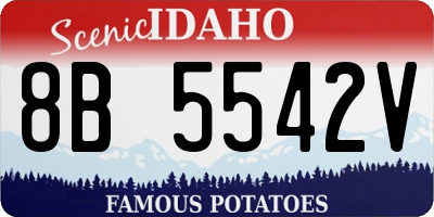 ID license plate 8B5542V