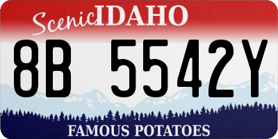 ID license plate 8B5542Y