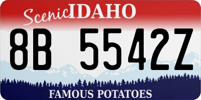 ID license plate 8B5542Z