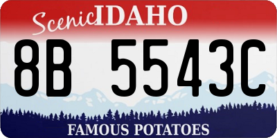 ID license plate 8B5543C