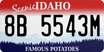 ID license plate 8B5543M