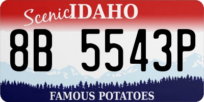 ID license plate 8B5543P
