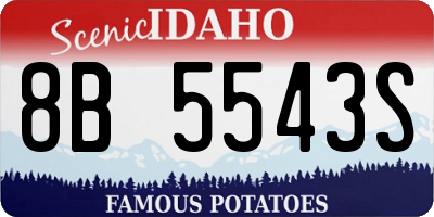ID license plate 8B5543S