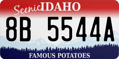 ID license plate 8B5544A