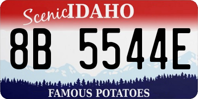 ID license plate 8B5544E