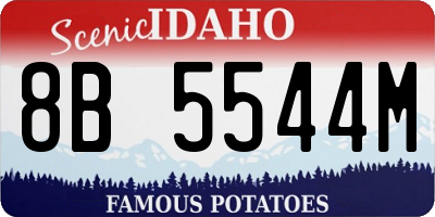ID license plate 8B5544M