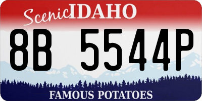 ID license plate 8B5544P