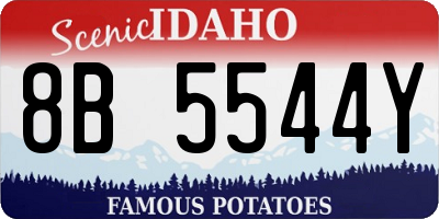 ID license plate 8B5544Y