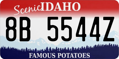 ID license plate 8B5544Z