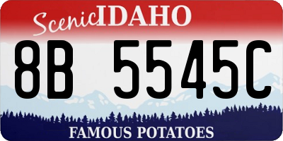 ID license plate 8B5545C