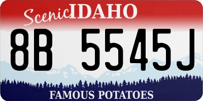 ID license plate 8B5545J