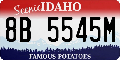 ID license plate 8B5545M