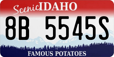ID license plate 8B5545S