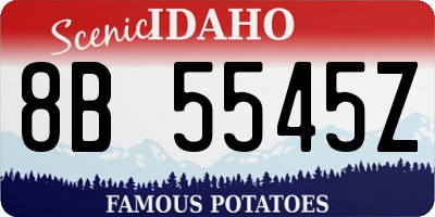 ID license plate 8B5545Z